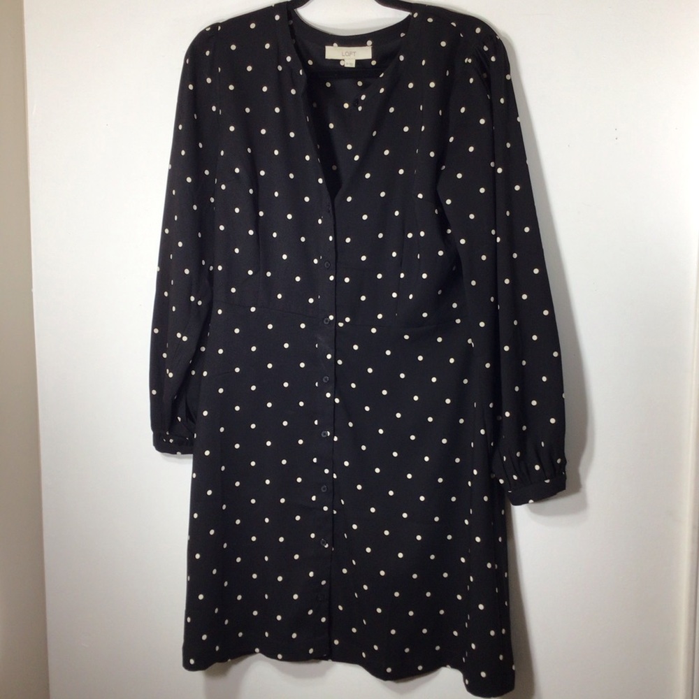 Loft Dress 10 Polka Dot Dress